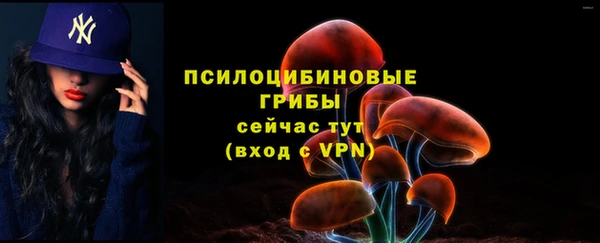 соль ск Белокуриха