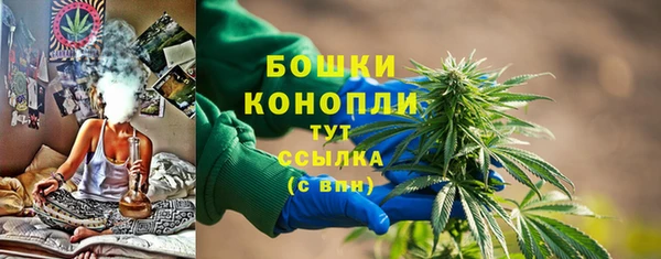 соль ск Белокуриха